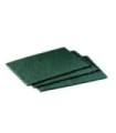 3M Canada SB GP Scour Pad 6x9" 20/bx/3bx/cs [H-96-6X9], Case: 60
