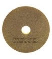 3M Canada Floor Pad-SB Clean&Shine Gold 14x20" 5/cs [F-CS-14X20], Case: 5