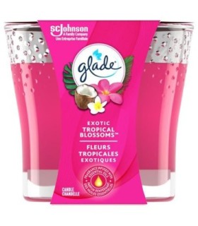 SC JOHNSON 62300003997 SOP: Glade - Triple Wick Candle Tropical Blossom - 3/1ct - 62300003997 -  - [unit price]