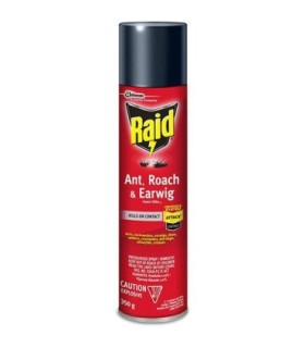 SC JOHNSON 62300007896 SOP: Raid - Ant/Roach Killer Aerosol - 12/350g - 62300007896 -  - [unit price]