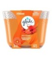 SC JOHNSON 62300717948 SOP: Glade Large Jar Candles - Hawaiian Breeze 6/1ct