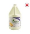 SAFEBLEND VCLEG04 SALE: Safeblend Dish Detergent Lemon - 4/4L