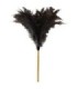 TOLCO 280158 Feather Duster - Ostrich 31" w/16"Wood Handle- Natural Case: 12 - 280158 -  - [unit price]