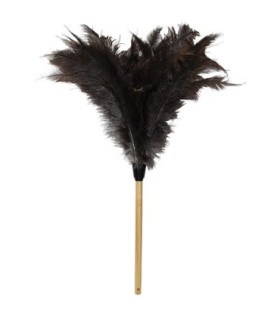 TOLCO 280158 Feather Duster - Ostrich 31" w/16"Wood Handle- Natural Case: 12 - 280158 -  - [unit price]