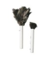 TOLCO 280159 Feather Duster - Retractable 14"Asian - Natural Case: 12