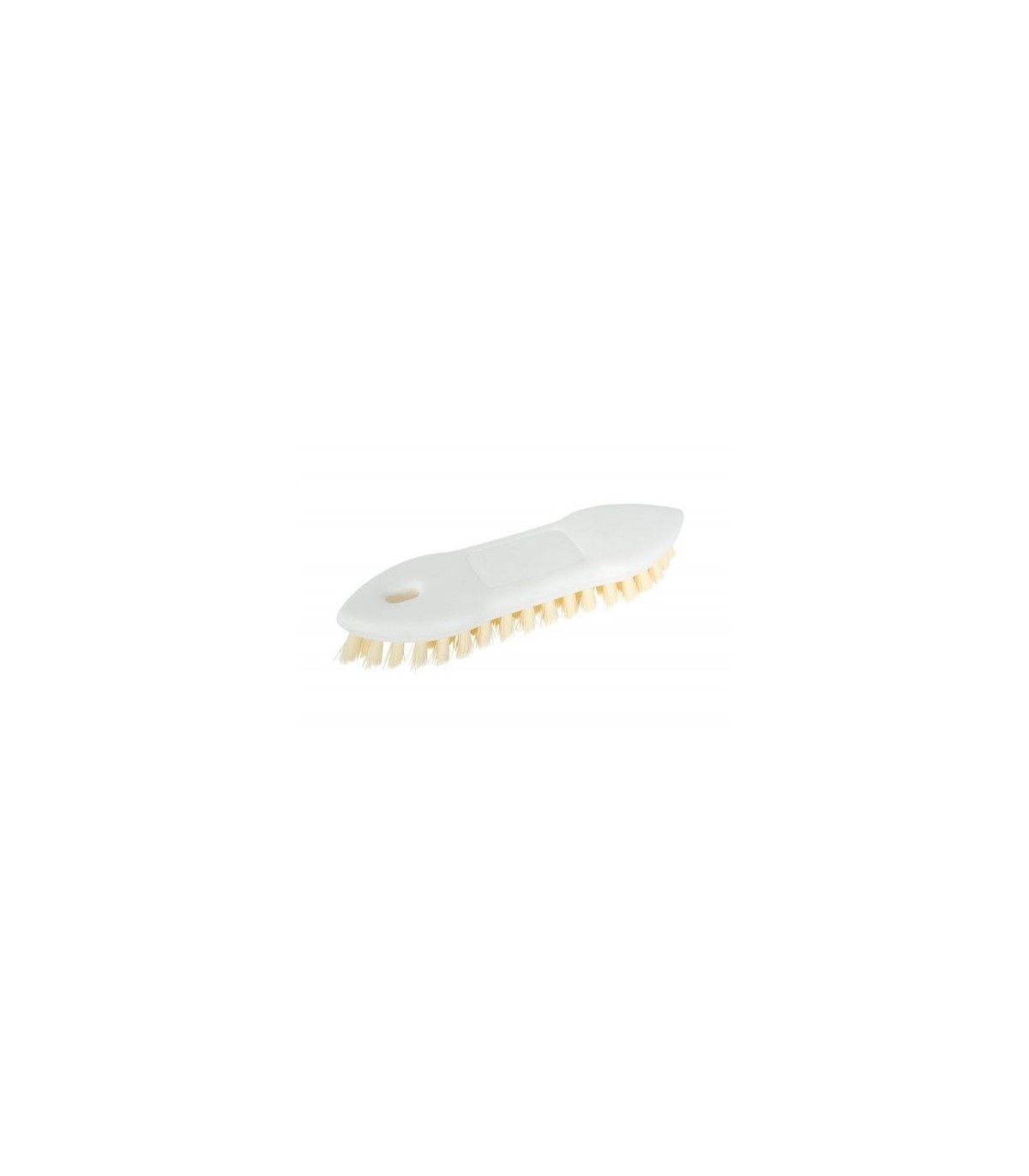 GLOBE 3620Brush - Pointed Scrub Poly Bristle Plastic Block 9", Case: 12, Price by EA - 3620 -  - [unit price]