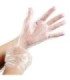GLOBE 8002Glove - HDPE Poly Disposable 500/pk/20pk/cs - Large, Case: 10000, Price by CS - 8002 -  - [unit price]