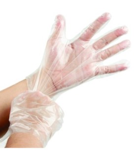 GLOBE 8002Glove - HDPE Poly Disposable 500/pk/20pk/cs - Large, Case: 10000, Price by CS - 8002 -  - [unit price]