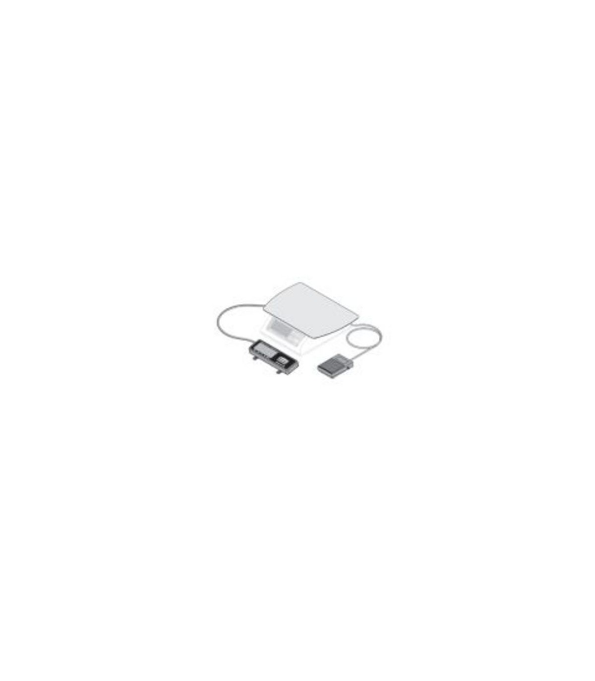 Rubbermaid FG1812625 Final Sale: Pizza Scale Kit w/Oversize Platform, Price Per EA - FG1812625 -  - [unit price]