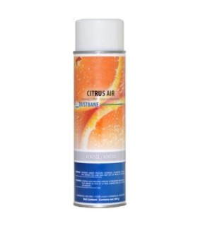 Dustbane Citrus Air Aerosol Deodorizer, Orange Scent, 369 G, 1/Case, Made in Canada 12/369-GM, Price/CS - 50175 -  - [unit price