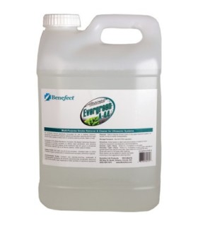 Benefect  82575 Botanical Cleaners - Evergreen A44 2.5G - 2/cs